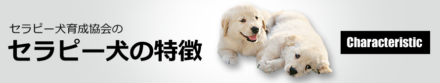 当法人のセラピー犬